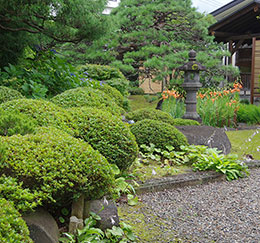 松の湯 庭園 夏