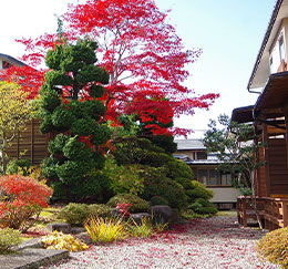 松の湯 庭園　秋