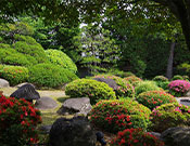 松の湯 庭園
